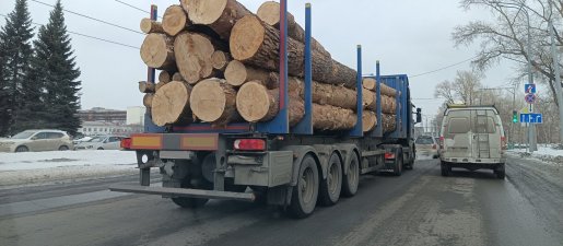 Поиск транспорта для перевозки леса, бревен и кругляка стоимость услуг и где заказать - Нарьян-Мар